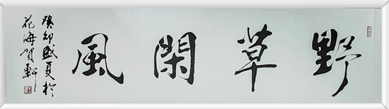 鷨ҡ