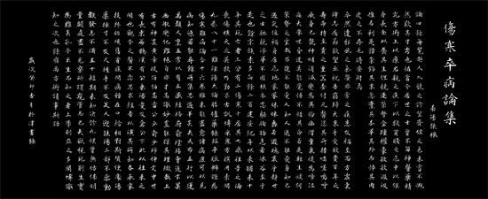 鷨ҡ